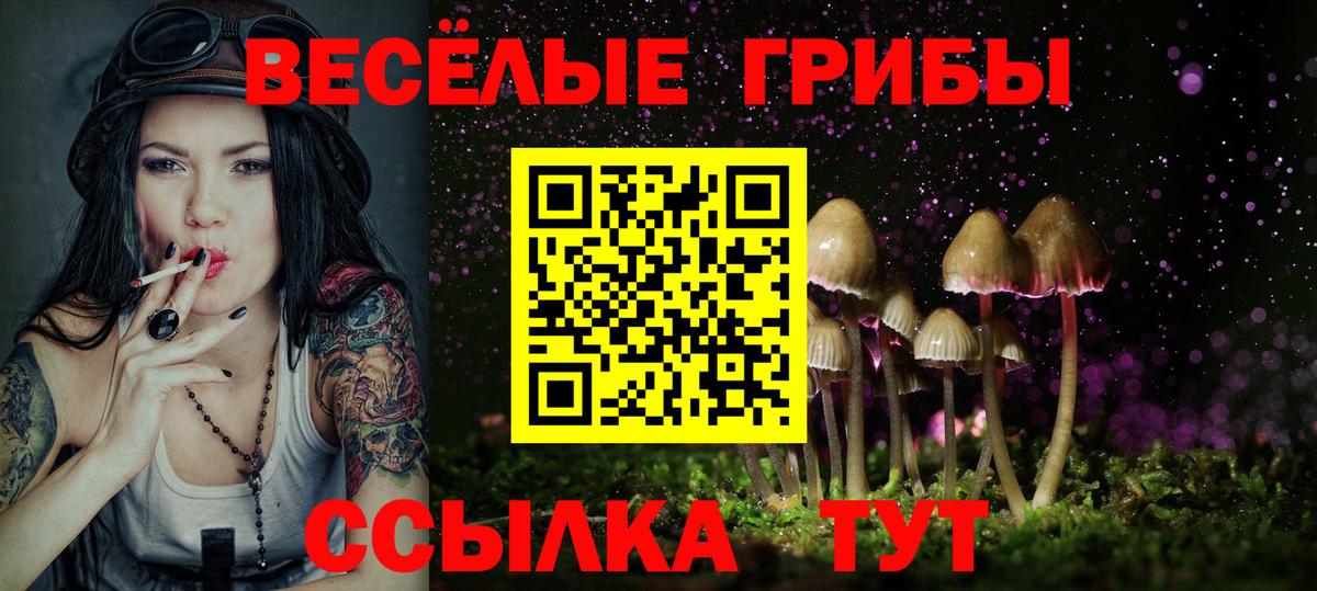 Псилоцибиновые грибы прущие грибы  Вход с VPN  Галлюциногенные грибы Psilocybine cubensis  Белореченск 